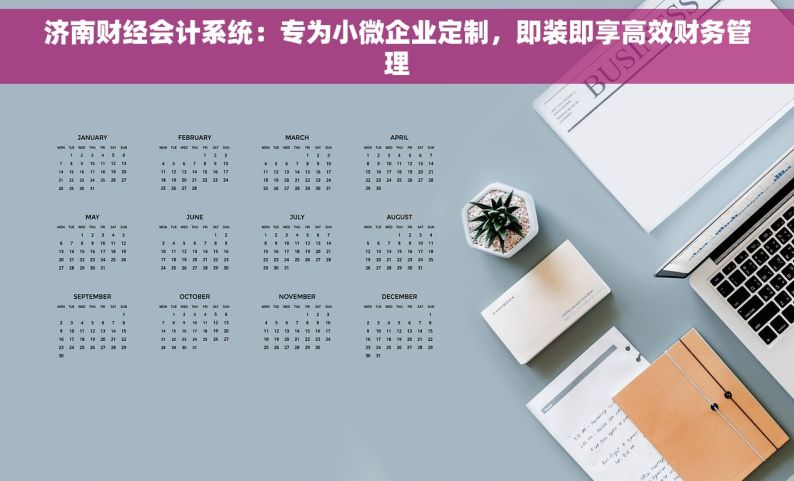 济南财经会计系统：专为小微企业定制，即装即享高效财务管理