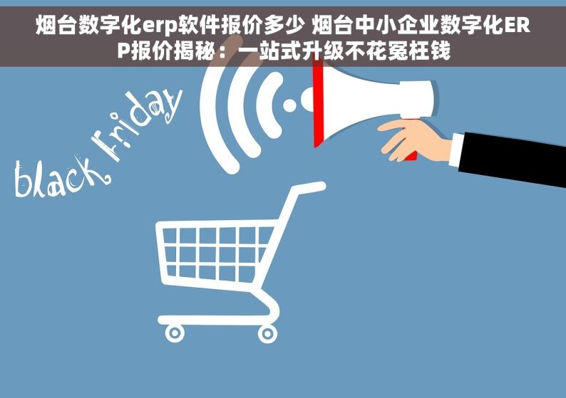 烟台数字化erp软件报价多少 烟台中小企业数字化ERP报价揭秘：一站式升级不花冤枉钱