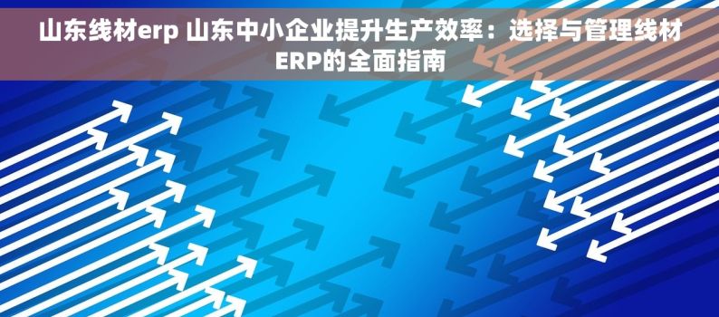 山东线材erp 山东中小企业提升生产效率：选择与管理线材ERP的全面指南