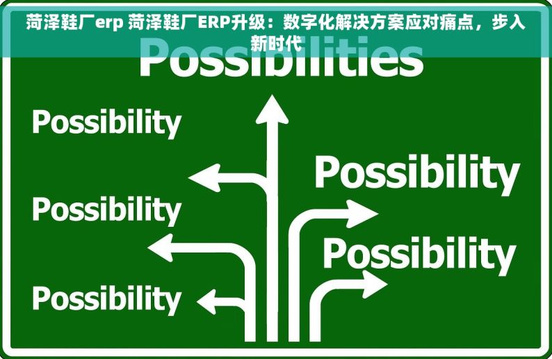 菏泽鞋厂erp 菏泽鞋厂ERP升级：数字化解决方案应对痛点，步入新时代