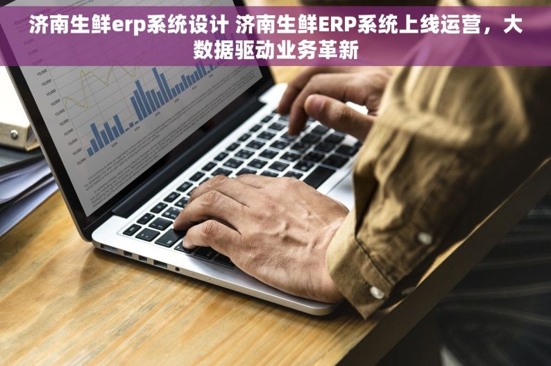 济南生鲜erp系统设计 济南生鲜ERP系统上线运营，大数据驱动业务革新