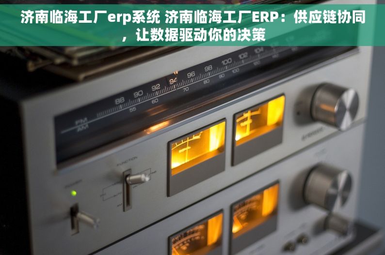 济南临海工厂erp系统 济南临海工厂ERP：供应链协同，让数据驱动你的决策