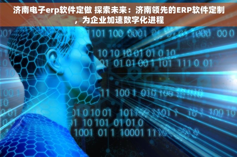 济南电子erp软件定做 探索未来：济南领先的ERP软件定制，为企业加速数字化进程