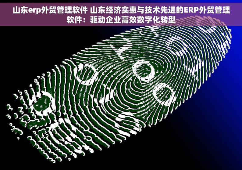 山东erp外贸管理软件 山东经济实惠与技术先进的ERP外贸管理软件：驱动企业高效数字化转型