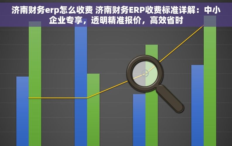 济南财务erp怎么收费 济南财务ERP收费标准详解：中小企业专享，透明精准报价，高效省时