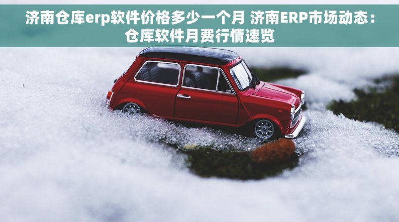 济南仓库erp软件价格多少一个月 济南ERP市场动态：仓库软件月费行情速览