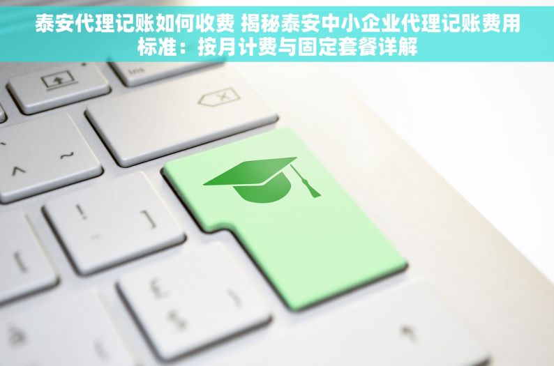 泰安代理记账如何收费 揭秘泰安中小企业代理记账费用标准：按月计费与固定套餐详解