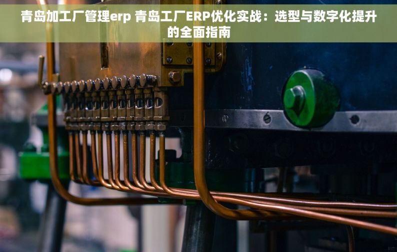 青岛加工厂管理erp 青岛工厂ERP优化实战：选型与数字化提升的全面指南