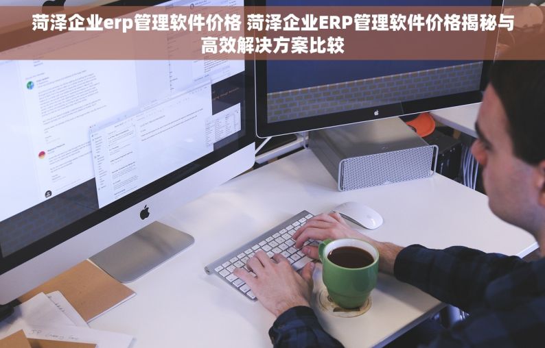 菏泽企业erp管理软件价格 菏泽企业ERP管理软件价格揭秘与高效解决方案比较