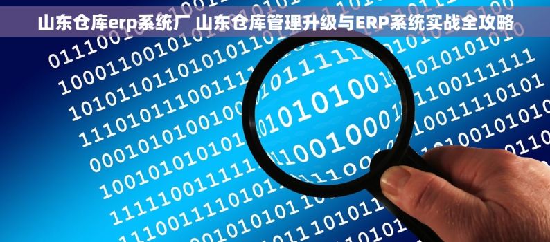 山东仓库erp系统厂 山东仓库管理升级与ERP系统实战全攻略