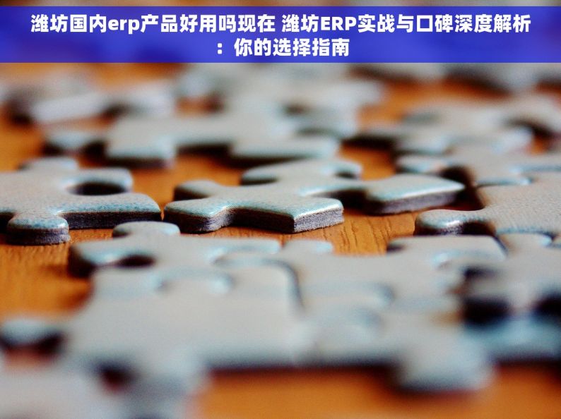 潍坊国内erp产品好用吗现在 潍坊ERP实战与口碑深度解析：你的选择指南