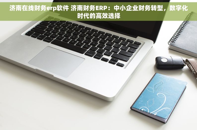 济南在线财务erp软件 济南财务ERP：中小企业财务转型，数字化时代的高效选择