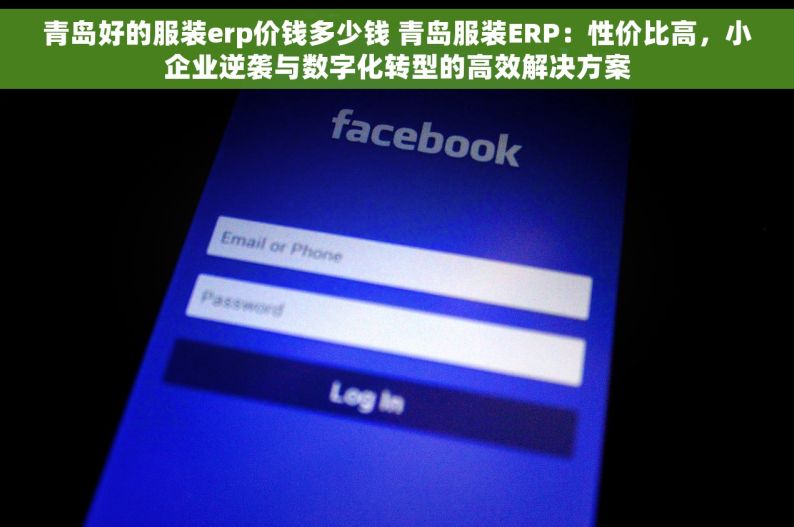 青岛好的服装erp价钱多少钱 青岛服装ERP：性价比高，小企业逆袭与数字化转型的高效解决方案