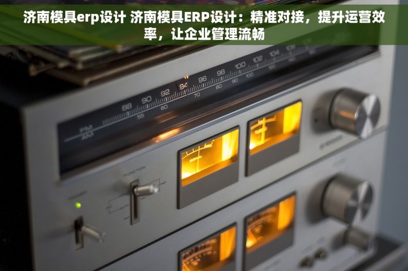 济南模具erp设计 济南模具ERP设计：精准对接，提升运营效率，让企业管理流畅