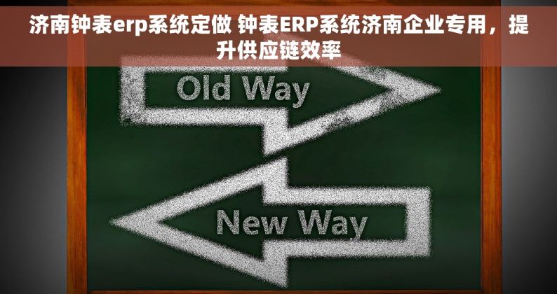 济南钟表erp系统定做 钟表ERP系统济南企业专用，提升供应链效率