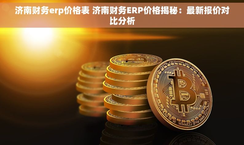 济南财务erp价格表 济南财务ERP价格揭秘：最新报价对比分析