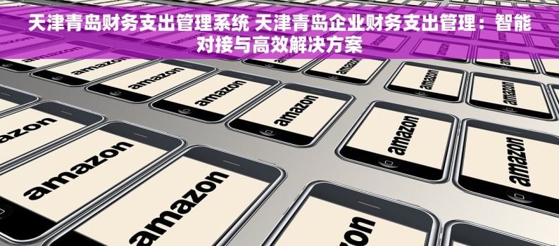 天津青岛财务支出管理系统 天津青岛企业财务支出管理：智能对接与高效解决方案