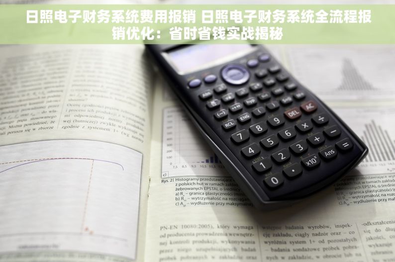 日照电子财务系统费用报销 日照电子财务系统全流程报销优化：省时省钱实战揭秘