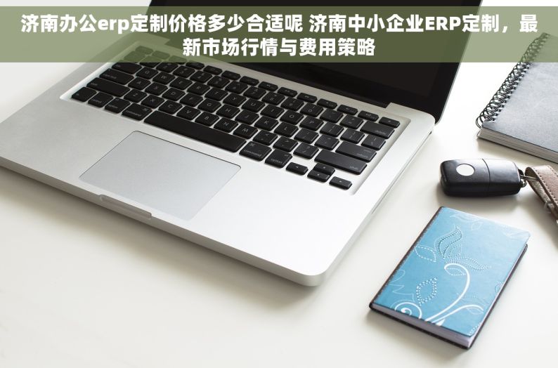 济南办公erp定制价格多少合适呢 济南中小企业ERP定制，最新市场行情与费用策略