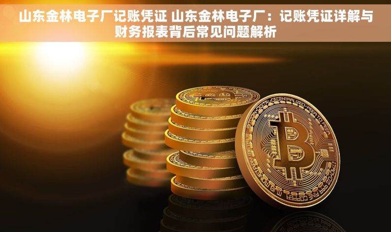 山东金林电子厂记账凭证 山东金林电子厂：记账凭证详解与财务报表背后常见问题解析