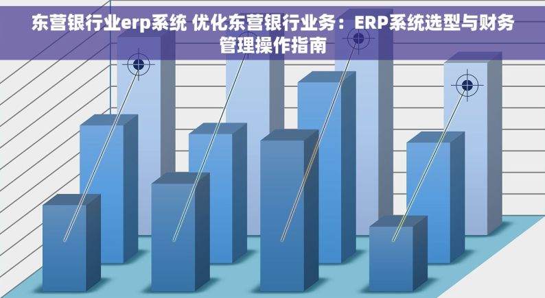 东营银行业erp系统 优化东营银行业务：ERP系统选型与财务管理操作指南