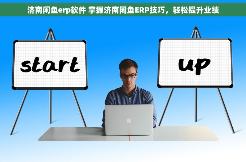 济南闲鱼erp软件 掌握济南闲鱼ERP技巧，轻松提升业绩