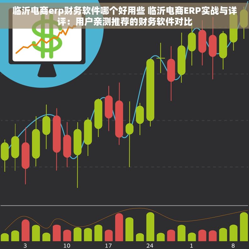 临沂电商erp财务软件哪个好用些 临沂电商ERP实战与详评：用户亲测推荐的财务软件对比