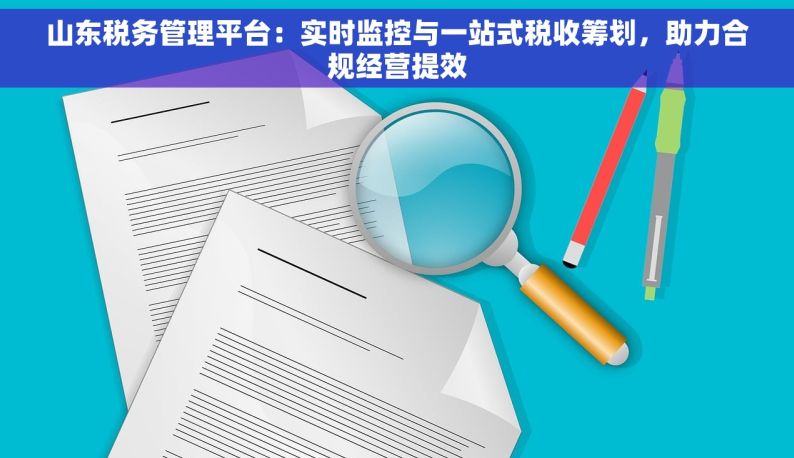 山东税务管理平台：实时监控与一站式税收筹划，助力合规经营提效