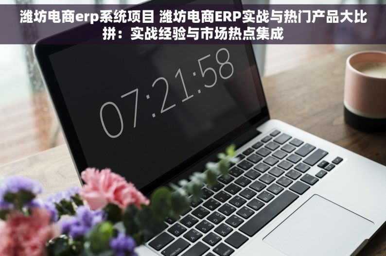 潍坊电商erp系统项目 潍坊电商ERP实战与热门产品大比拼：实战经验与市场热点集成