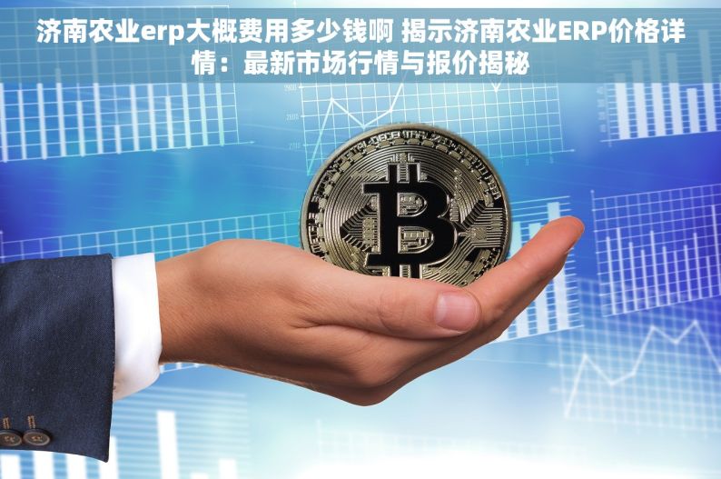 济南农业erp大概费用多少钱啊 揭示济南农业ERP价格详情：最新市场行情与报价揭秘