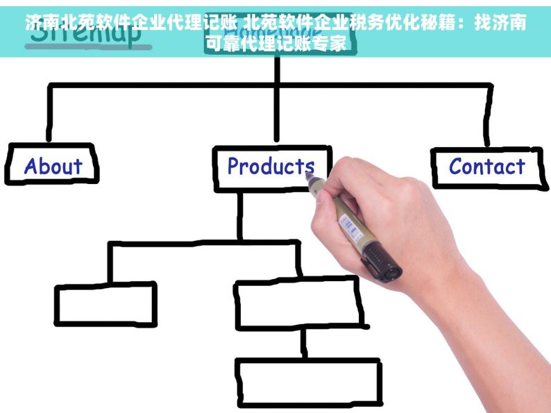 济南北苑软件企业代理记账 北苑软件企业税务优化秘籍：找济南可靠代理记账专家