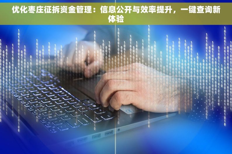 优化枣庄征拆资金管理：信息公开与效率提升，一键查询新体验