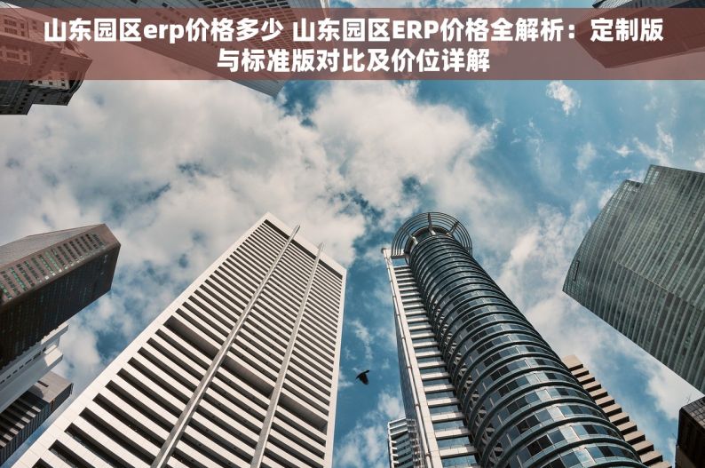 山东园区erp价格多少 山东园区ERP价格全解析：定制版与标准版对比及价位详解