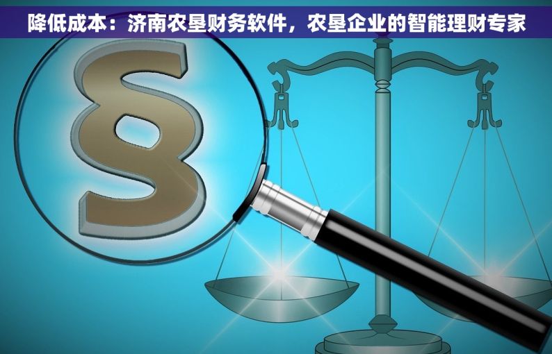 降低成本：济南农垦财务软件，农垦企业的智能理财专家