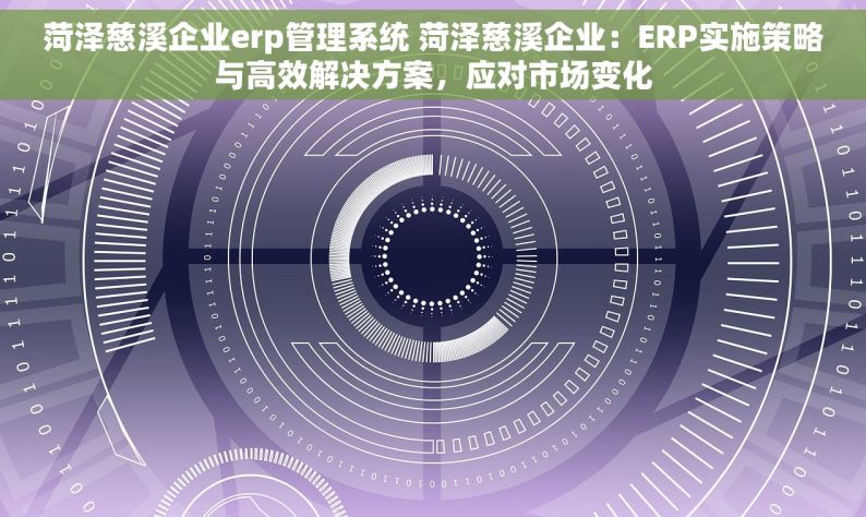 菏泽慈溪企业erp管理系统 菏泽慈溪企业：ERP实施策略与高效解决方案，应对市场变化