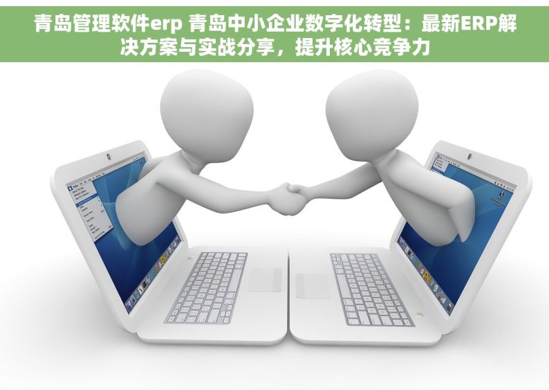 青岛管理软件erp 青岛中小企业数字化转型：最新ERP解决方案与实战分享，提升核心竞争力