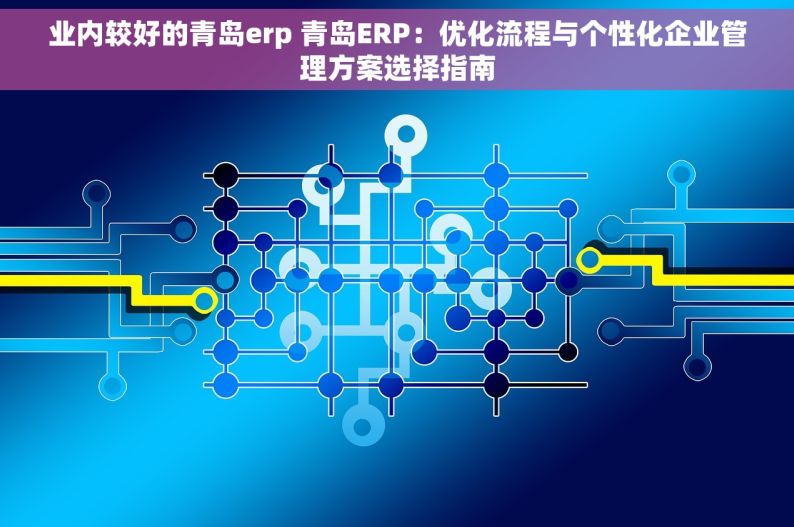 业内较好的青岛erp 青岛ERP：优化流程与个性化企业管理方案选择指南