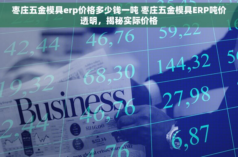 枣庄五金模具erp价格多少钱一吨 枣庄五金模具ERP吨价透明，揭秘实际价格