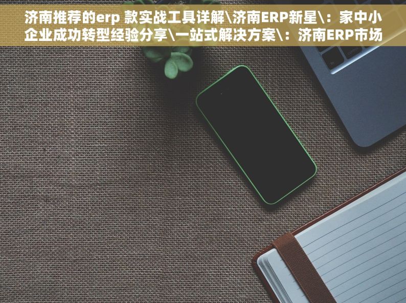 济南推荐的erp 款实战工具详解\济南ERP新星\：家中小企业成功转型经验分享\一站式解决方案\：济南ERP市场深度洞察