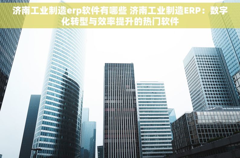 济南工业制造erp软件有哪些 济南工业制造ERP：数字化转型与效率提升的热门软件