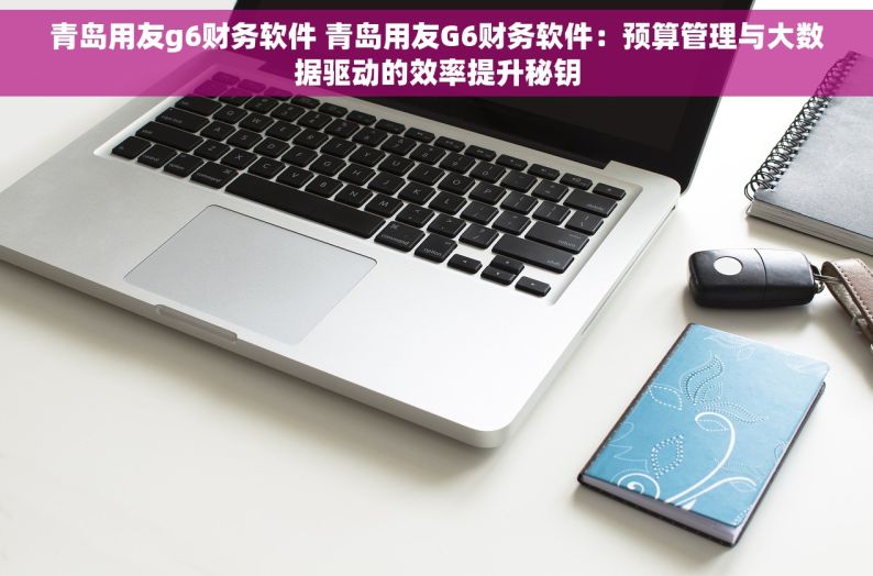 青岛用友g6财务软件 青岛用友G6财务软件：预算管理与大数据驱动的效率提升秘钥