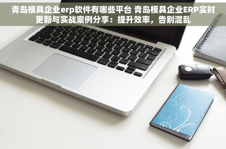 青岛模具企业erp软件有哪些平台 青岛模具企业ERP实时更新与实战案例分享：提升效率，告别混乱