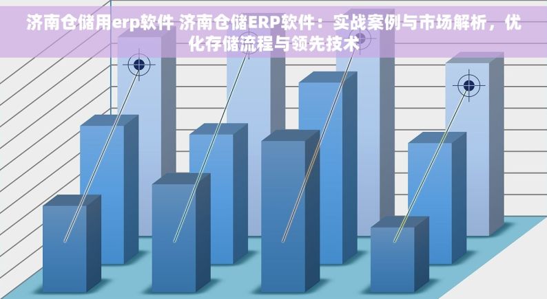 济南仓储用erp软件 济南仓储ERP软件：实战案例与市场解析，优化存储流程与领先技术