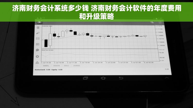济南财务会计系统多少钱 济南财务会计软件的年度费用和升级策略