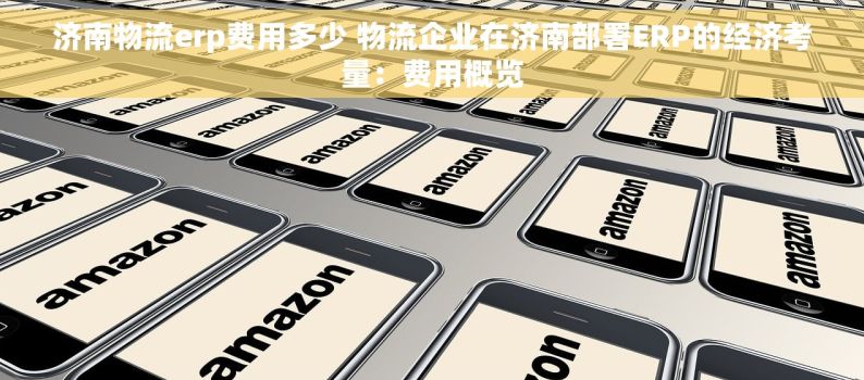 济南物流erp费用多少 物流企业在济南部署ERP的经济考量：费用概览