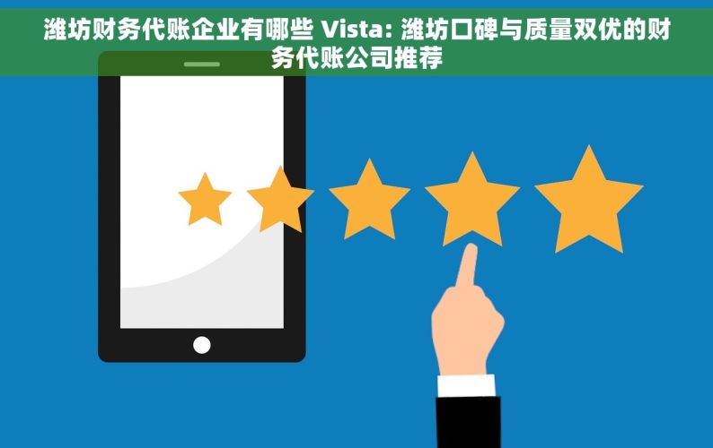 潍坊财务代账企业有哪些 Vista: 潍坊口碑与质量双优的财务代账公司推荐