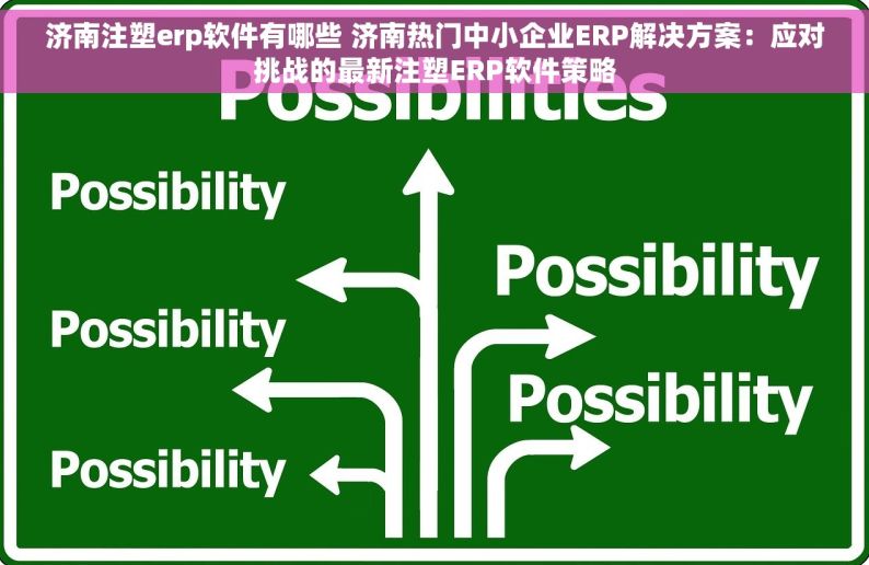 济南注塑erp软件有哪些 济南热门中小企业ERP解决方案：应对挑战的最新注塑ERP软件策略