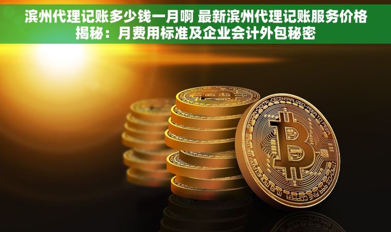 滨州代理记账多少钱一月啊 最新滨州代理记账服务价格揭秘：月费用标准及企业会计外包秘密