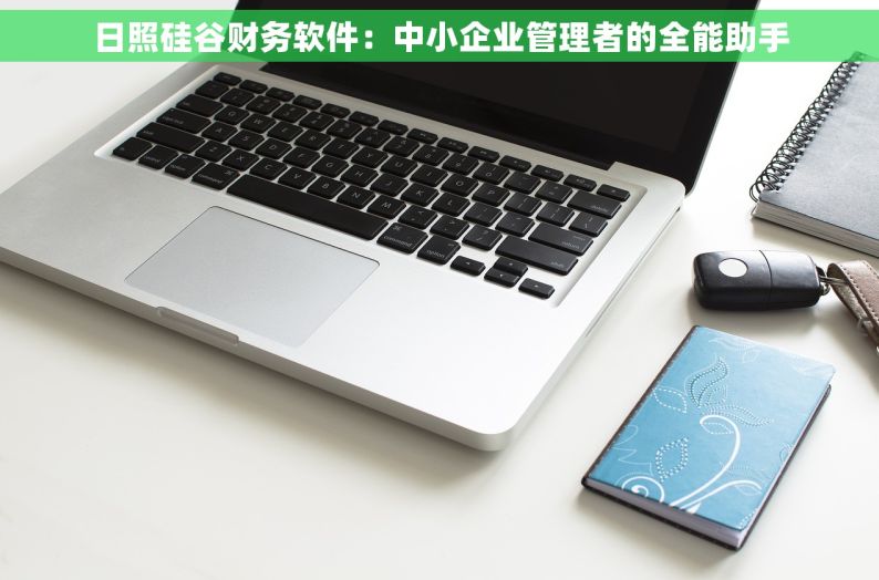 日照硅谷财务软件：中小企业管理者的全能助手