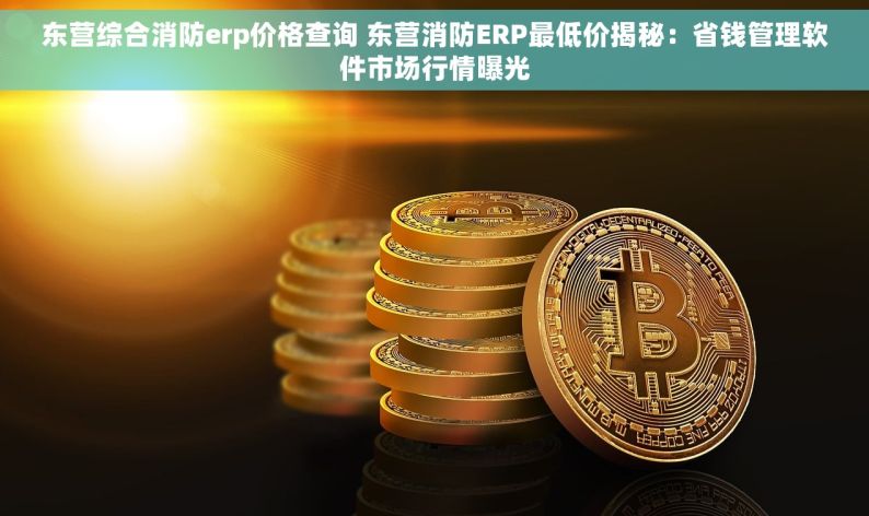 东营综合消防erp价格查询 东营消防ERP最低价揭秘：省钱管理软件市场行情曝光